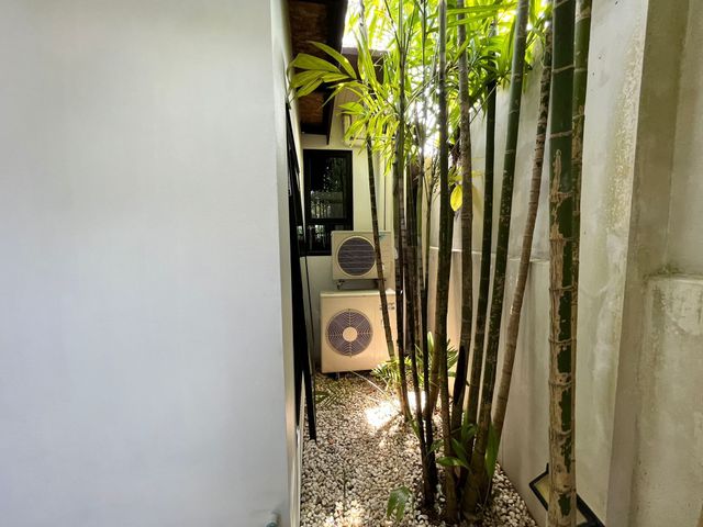 place photo 79
