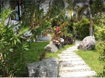 place photo 17