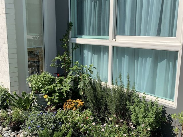 place photo 27