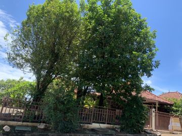 place photo 30