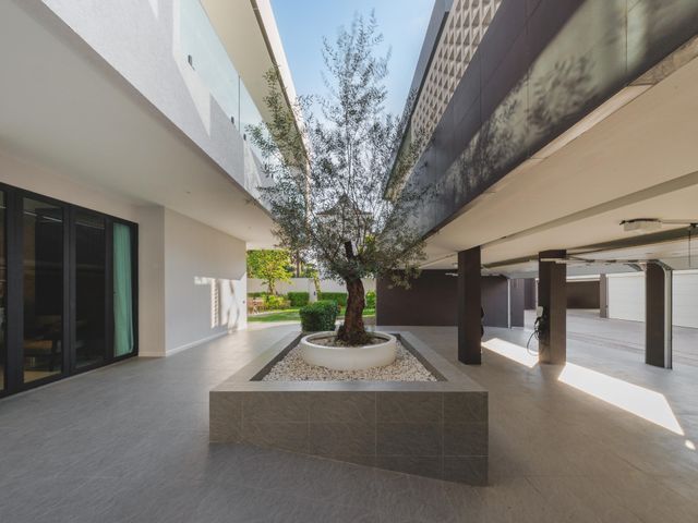 place photo 45