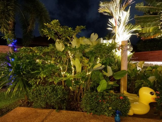 place photo 73