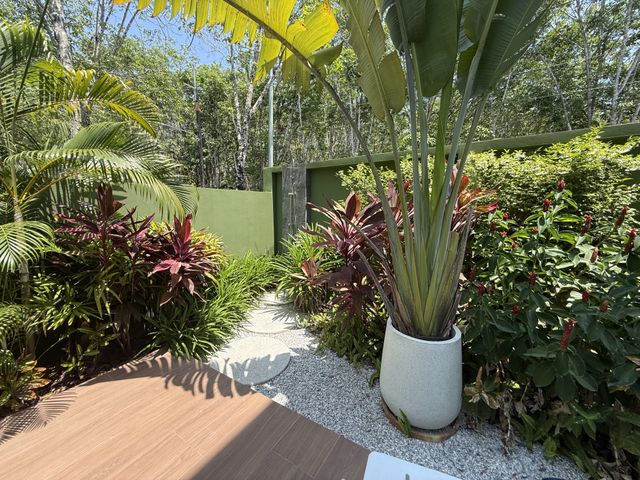 place photo 47