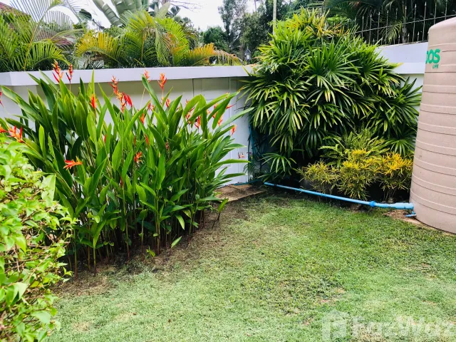 place photo 33