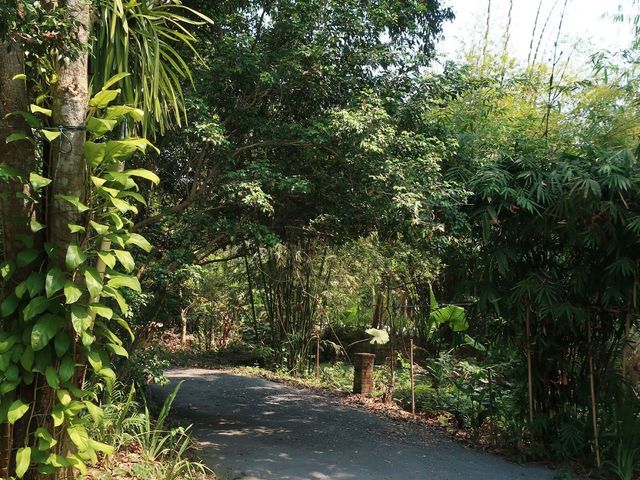place photo 36