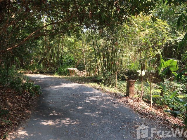 place photo 37