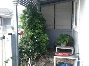 place photo 17