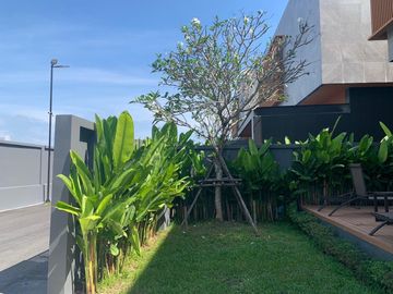 place photo 33