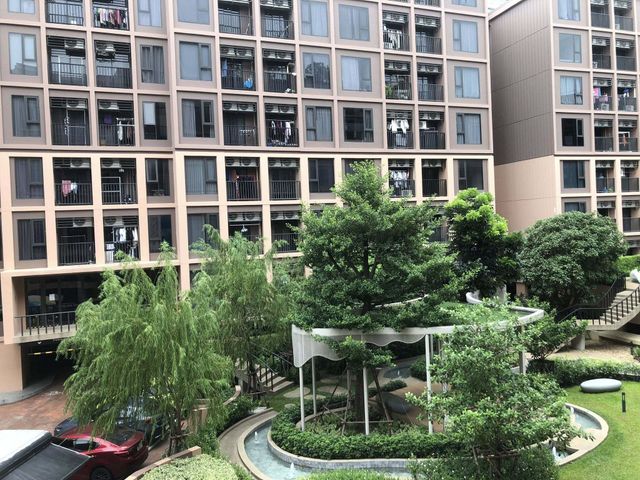 place photo 22