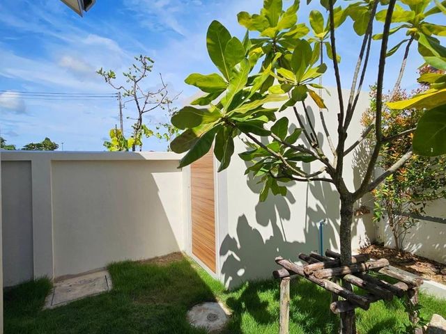 place photo 48