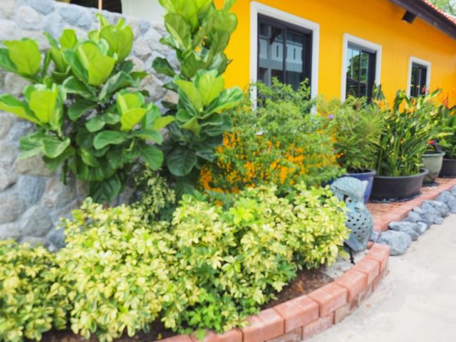 place photo 62