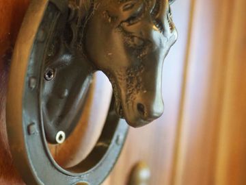 place photo 41