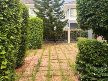place photo 21