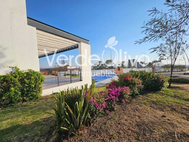place photo 36