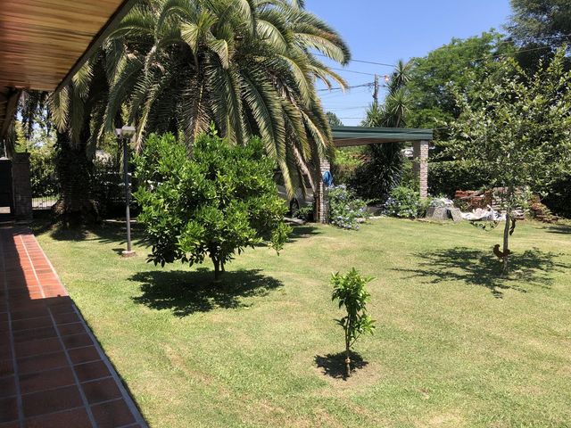 place photo 36