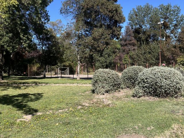 place photo 81