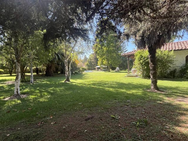 place photo 62