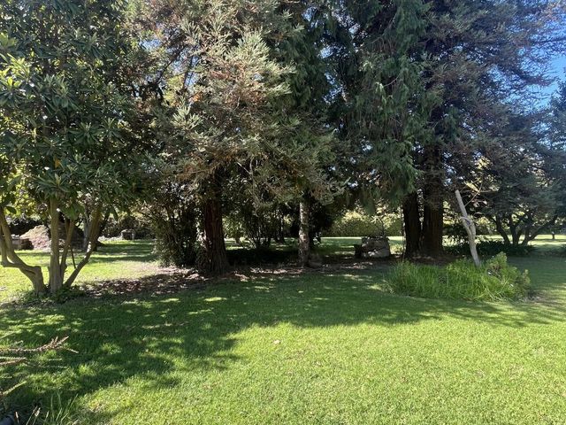 place photo 61