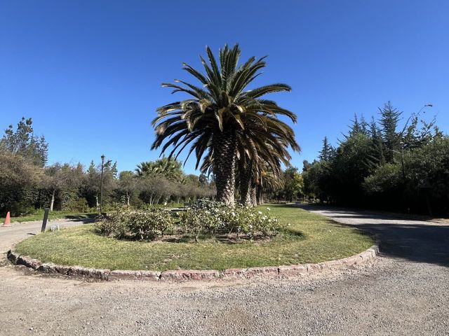 place photo 82