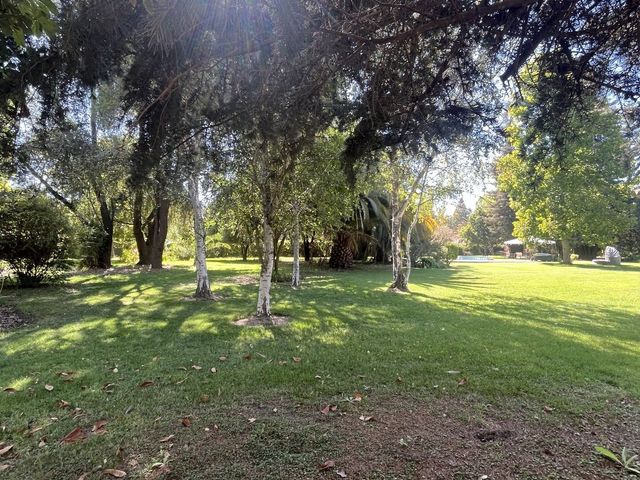 place photo 71