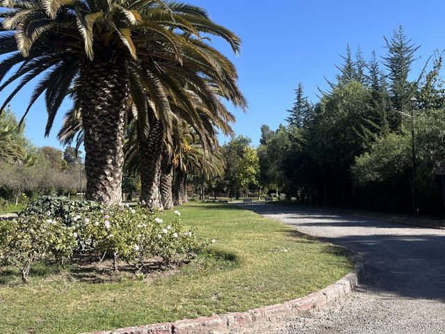 place photo 83