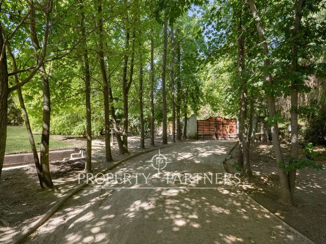place photo 45