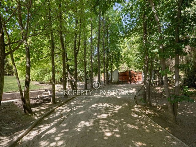 place photo 45