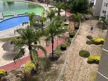 place photo 16