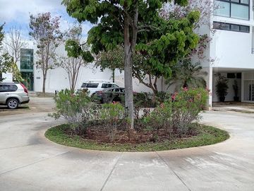 place photo 23