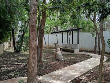 place photo 24