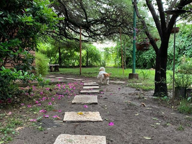place photo 16