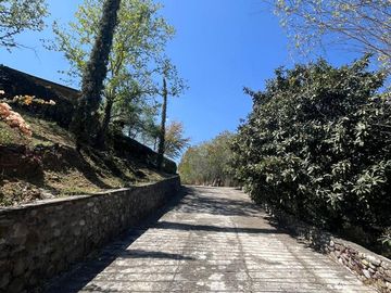 place photo 37