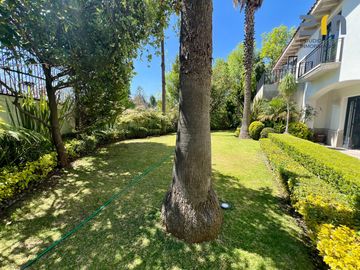 place photo 47