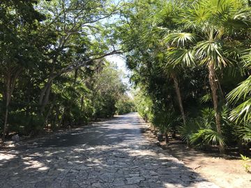place photo 32