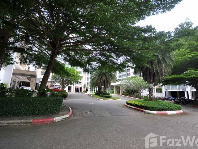 place photo 7