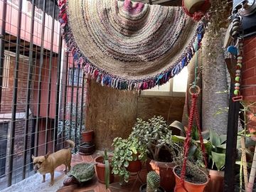 place photo 36