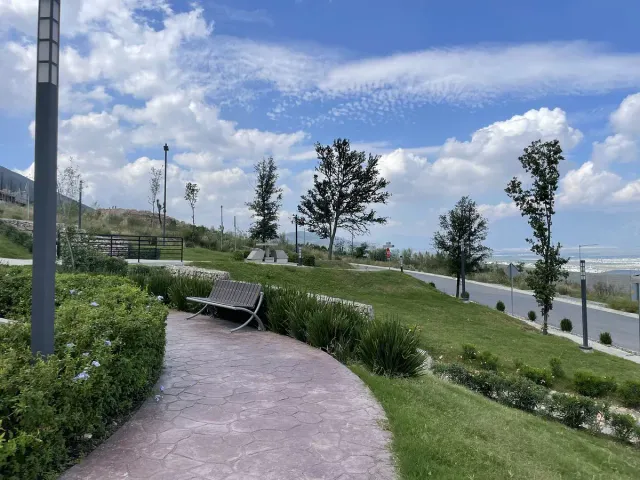 place photo 13