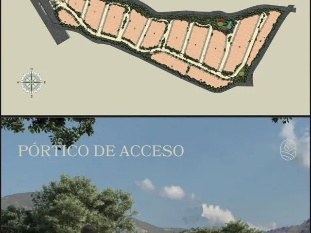 place photo 28