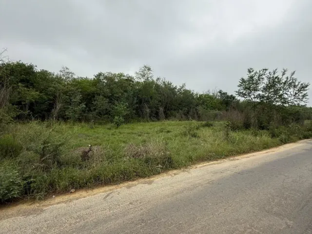 place photo 11