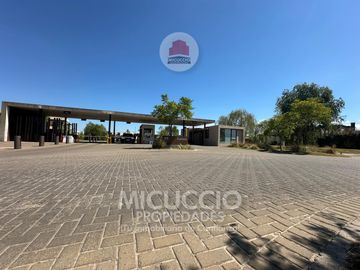 place photo 44