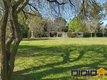 place photo 21