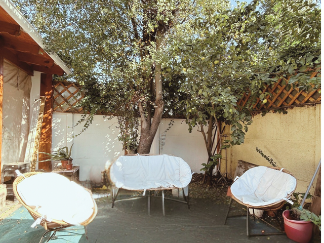 place photo 11