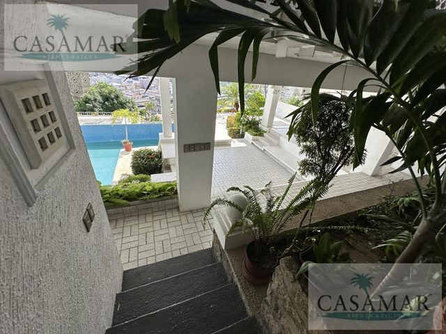 place photo 61