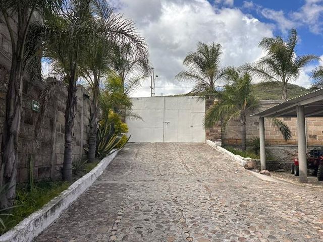 place photo 34