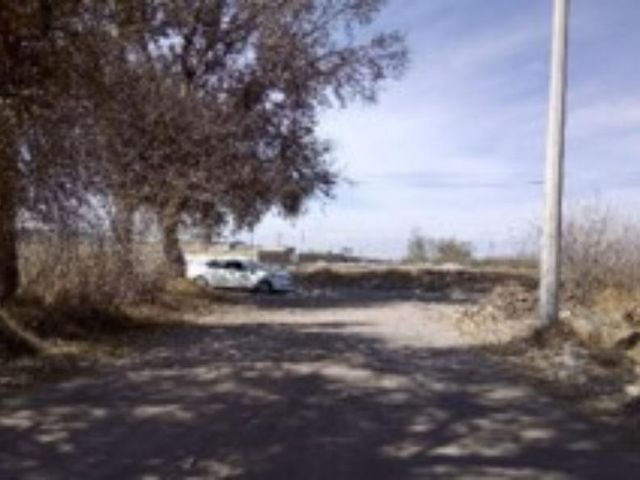 place photo 18