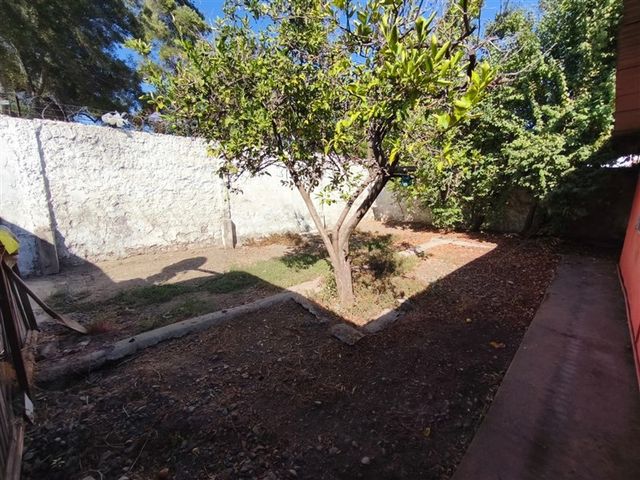 place photo 50