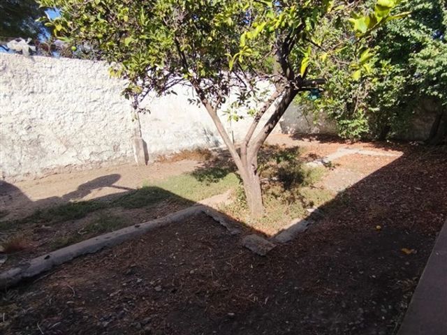 place photo 49