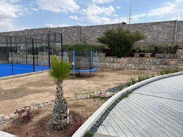 place photo 23