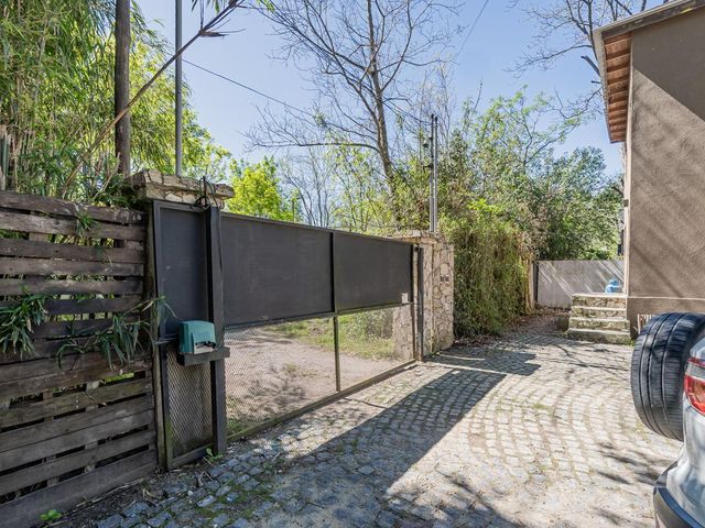 place photo 54