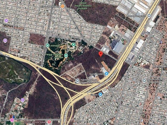 place photo 13